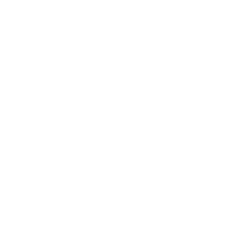 La Jolie Muse logo