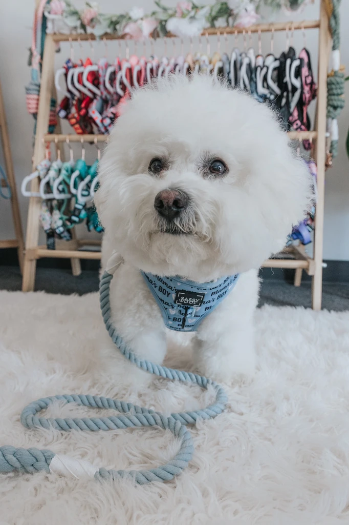 Sassy Woof Dog Rope Leash