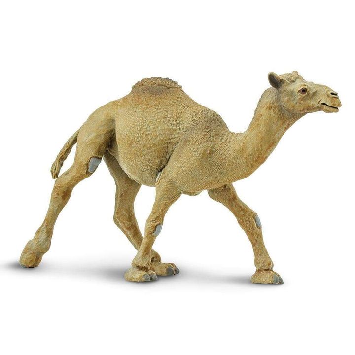 Safari Ltd® Dromedary Camel Toy - 7 requests | Flip App