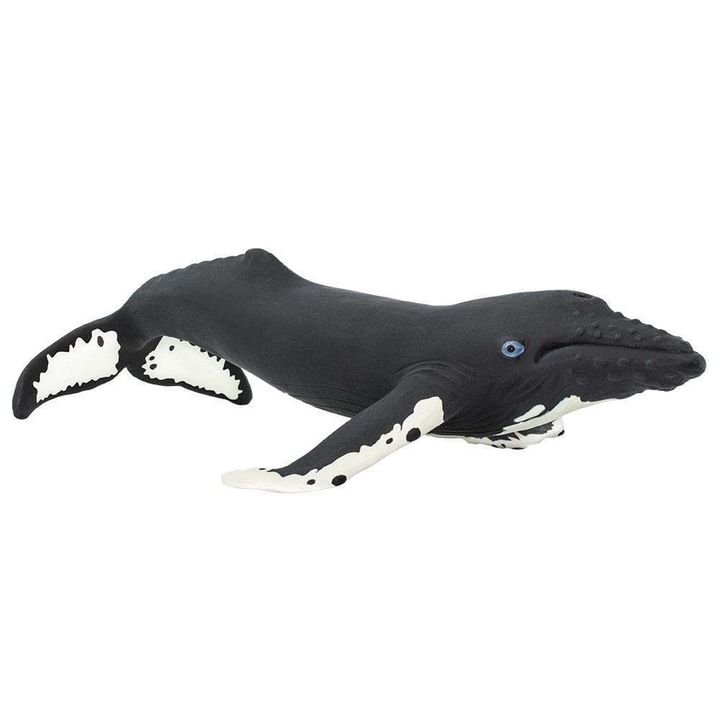 木彫　ザトウクジラ Humpback whale　31㎝ 木彫 ザトウクジラ Humpback whale 31㎝