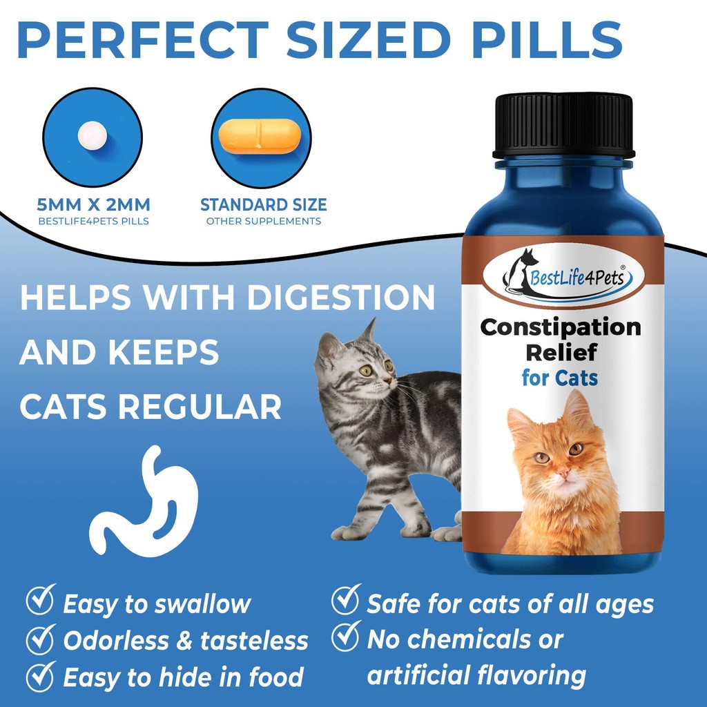 human laxatives for cats