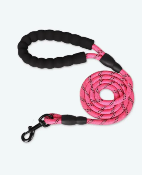 Dog Hugs Cat Reflective Nylon Dog Leash - Enhance Safety And Style On Walks
