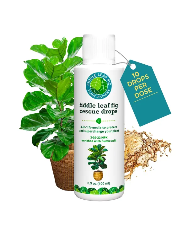 Houseplant Resource Center Fiddle Leaf Fig Rescue Drops