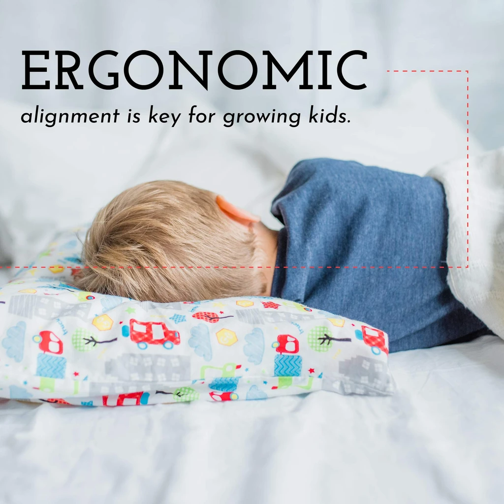 Little Sleepy Head Toddler Pillow 13x18 - Hypoallergenic Ergonomic Pillow