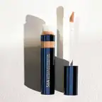 Ultimate Long-Lasting Fit Concealer 