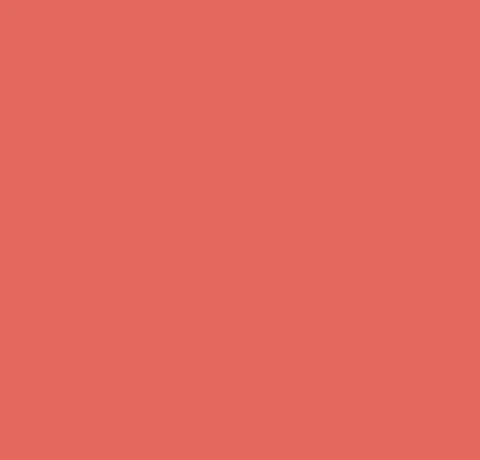SIIA Cosmetics Change Agent Matte Lipstick M 452