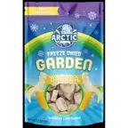 Freeze Dried Banana Chips
