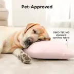 Product preview image