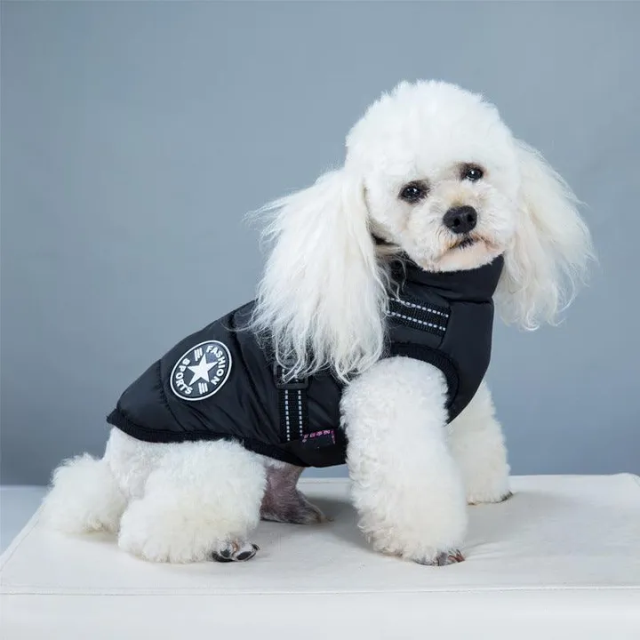 Dog Hugs Cat Winter Wonderland Pet Hooded Coat - Warm Dog Jacket For Small Breeds