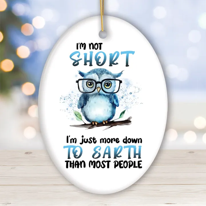OrnamentallyYou Down to Earth Owl Ceramic Ornament, Cute and Funny Christmas Gift