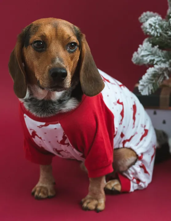 Leveret Clothing Dog Pajamas