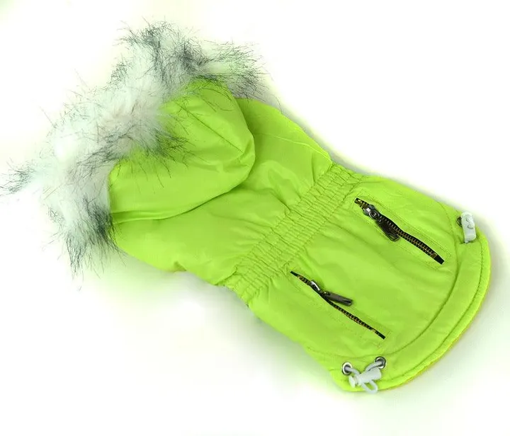 Dog Hugs Cat Cozyzip Cotton Padded Pet Clothes: The Ultimate Comfort