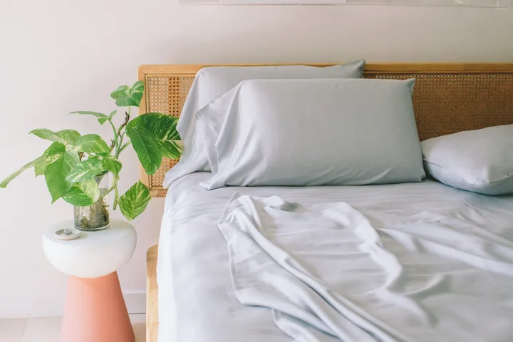 Nest bedding Tencel Sheet Set + Pillowcases