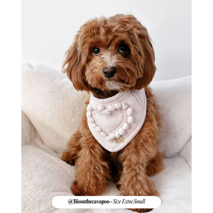 The Deluxe Pup Bandana | Matilda
