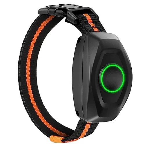 Gbruno Store IPX7 Waterproof Dog Training Collar