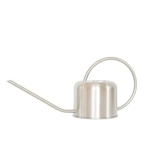 Houseplant Resource Center Stainless Steel Watering Can For Houseplants