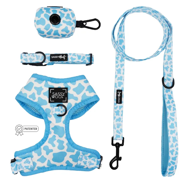 Sassy Woof Dog Four Piece Bundle With XSmall Collar