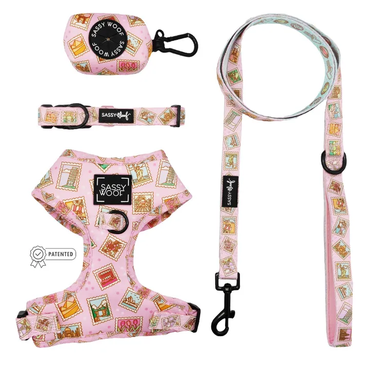 Sassy Woof Dog Four Piece Bundle With Small Harness