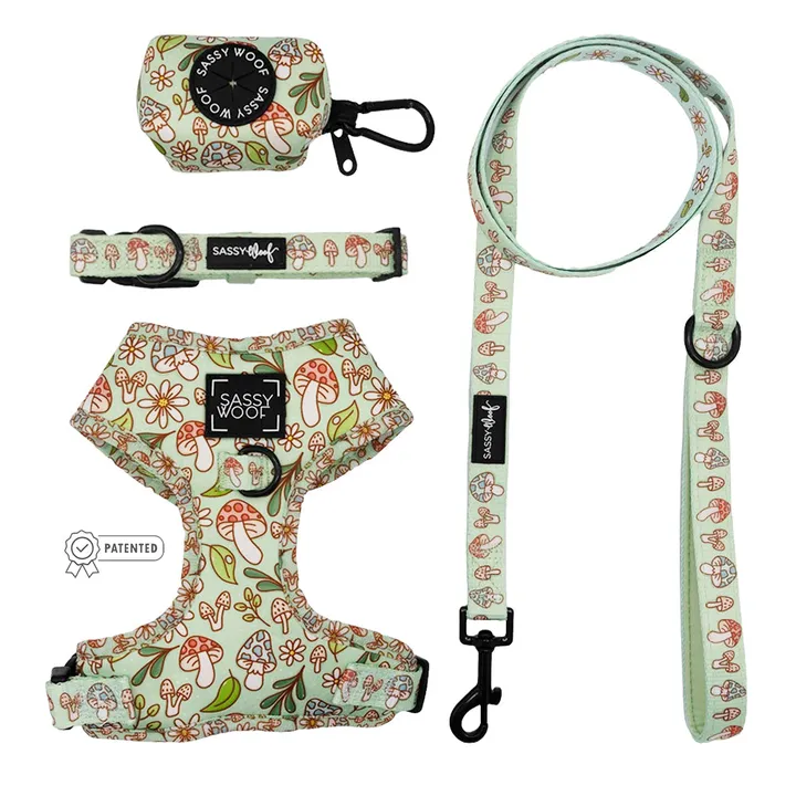 Sassy Woof Dog Four Piece Bundle With Medium Collar
