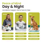 Product preview image