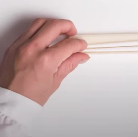 Takenaka Chopsticks & Case