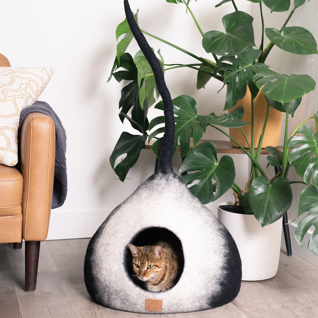 Fuzzy Cove Burst Design | Tail Style Cave