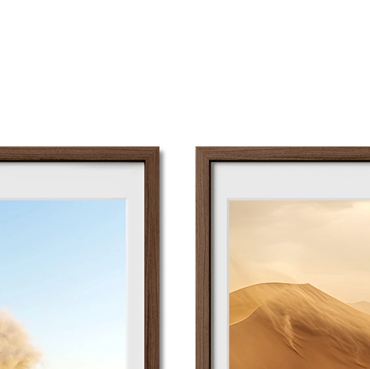 Haus and Hues Set Of 2 Gallery Frames - With Matting - Frames Only, No Printing