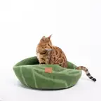 Product preview image