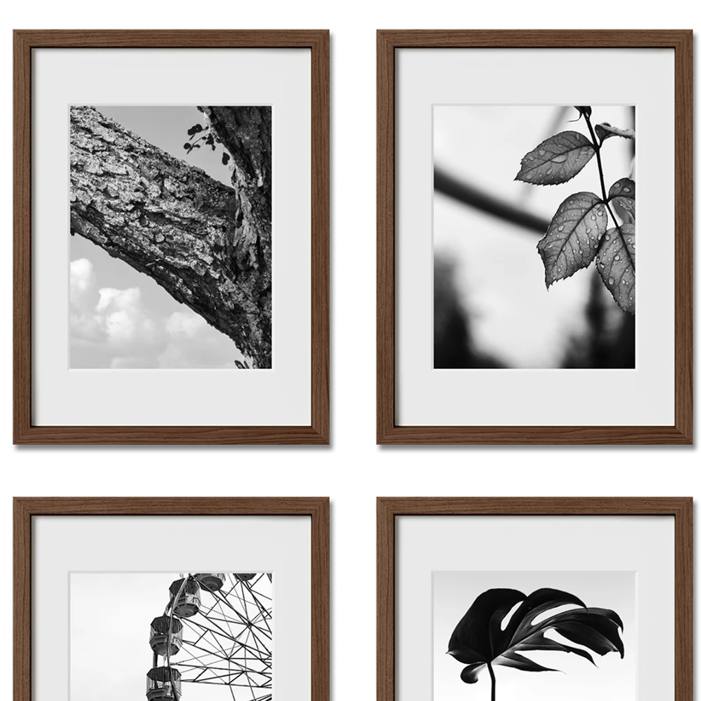 Haus and Hues Set Of 12 Gallery Frames - With Matting - Frames Only, No Printing