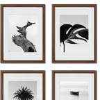 Product preview image