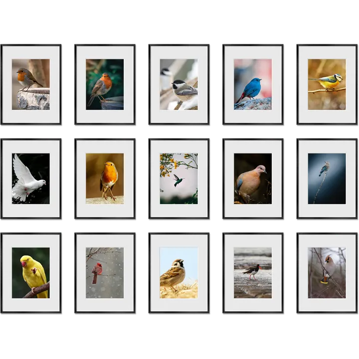 Haus and Hues Set Of 15 Gallery Frames - No Matting - Frames Only, No Printing