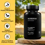 Product preview image