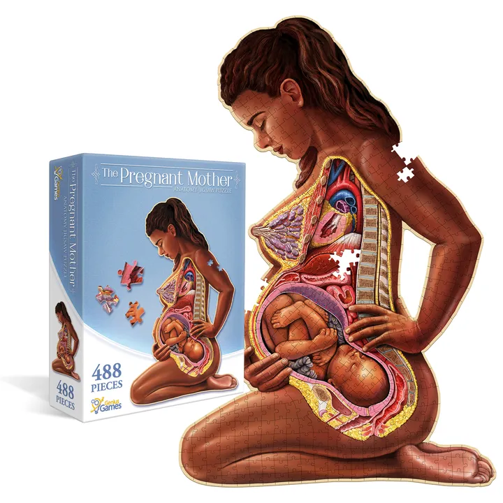 Genius Games Pregnant Mother Anatomy Jigsaw Puzzle