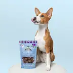 Product preview image