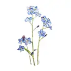 Product preview image