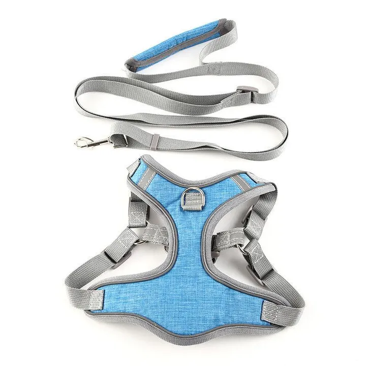 Dog Hugs Cat Vibrant Vest-Style Pet Leash For Cats And Dogs by Dog Hugs Cat