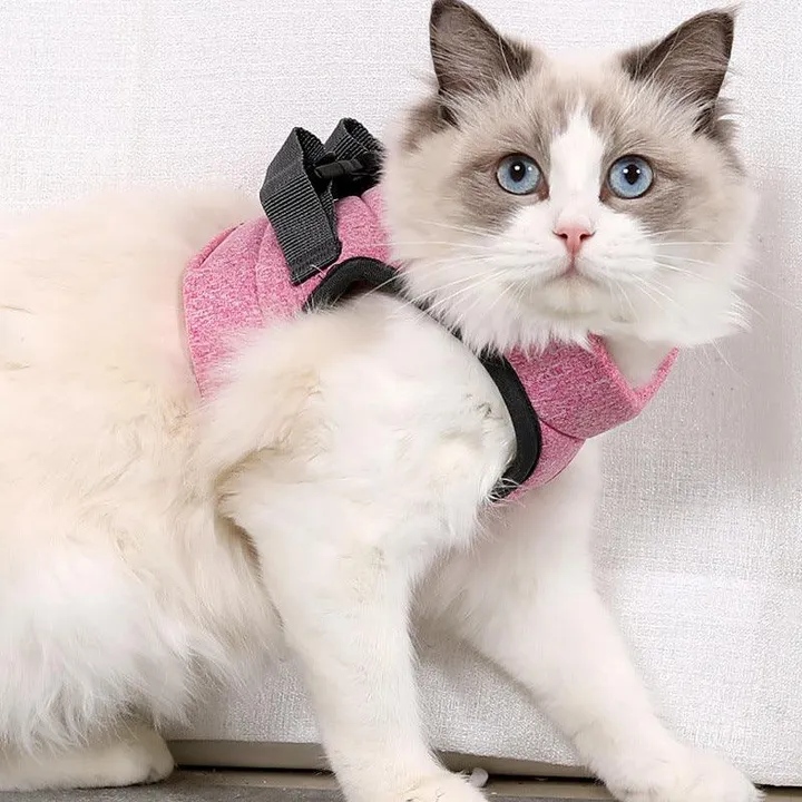 Dog Hugs Cat Stylish Lightweight Lace Cat Harness Set