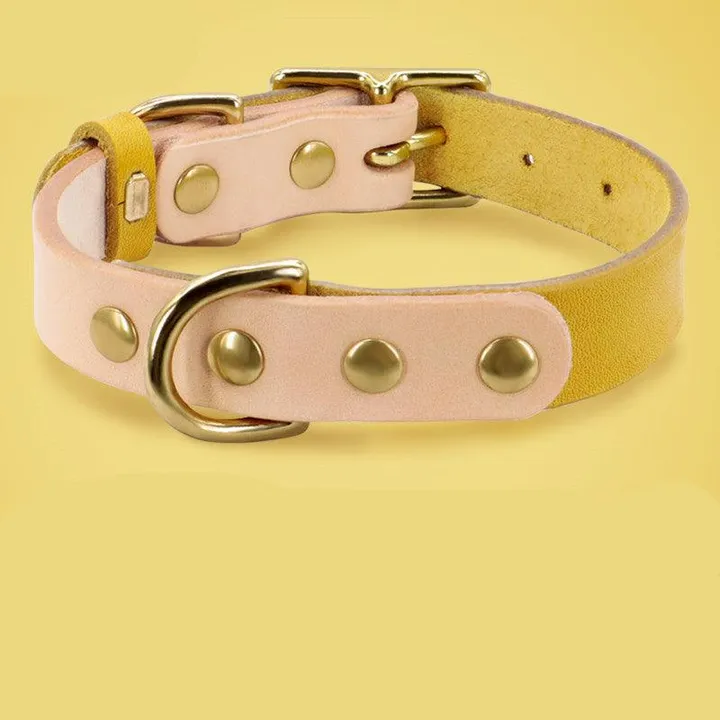 Dog Hugs Cat Customizable Luxury Leather Cat Collar in Vibrant Colors