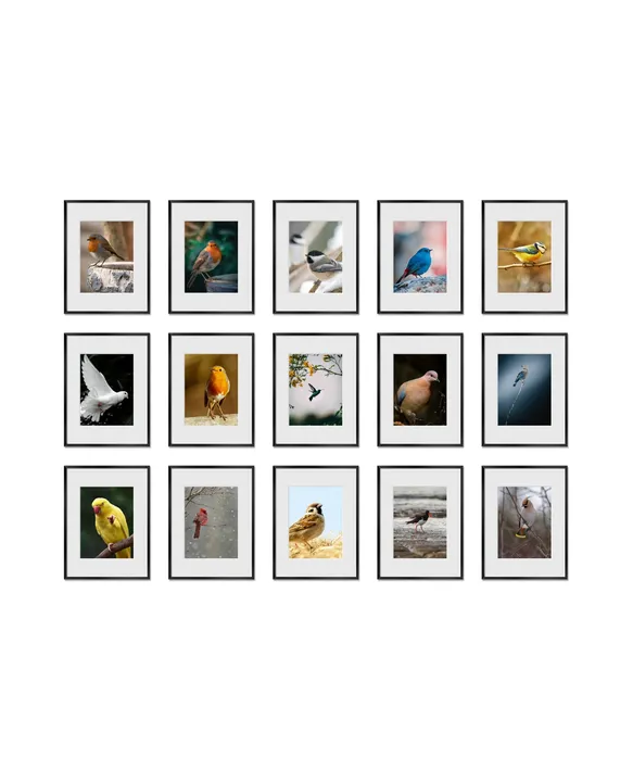 Haus and Hues Set Of 15 Gallery Frames - No Matting - Frames Only, No Printing