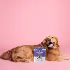 Product preview image