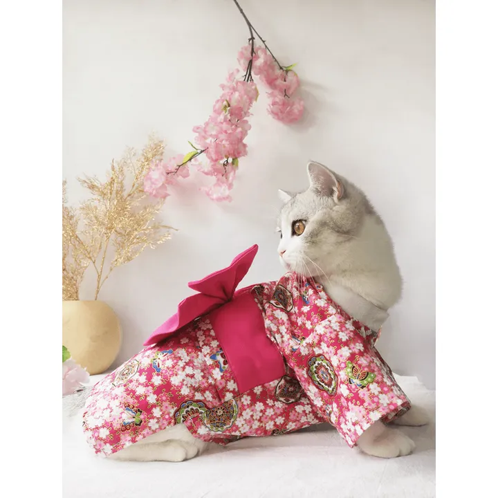 Dog Hugs Cat Pet Couture: Small Dog And Cat Clothes