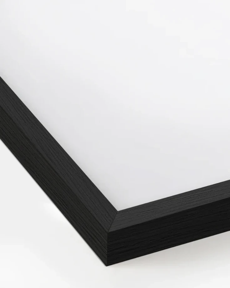 Haus and Hues Set Of 4 Gallery Frames - With Matting - Frames Only, No Printing