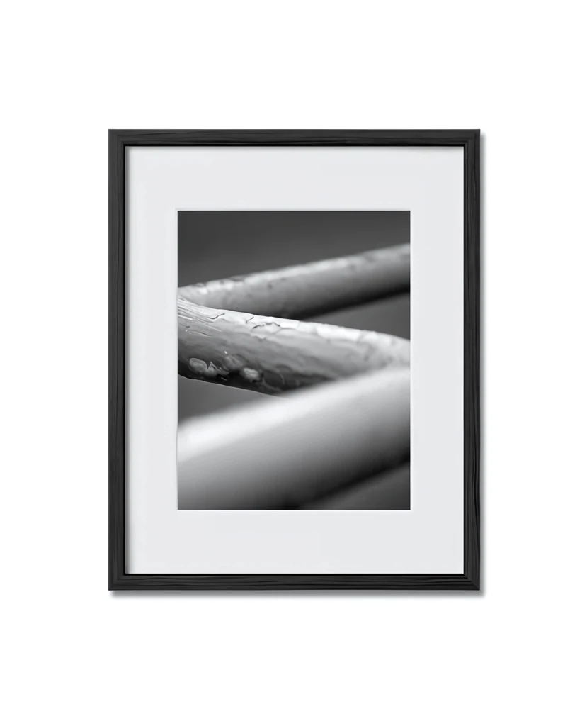 Haus and Hues Set Of 3 Gallery Frames - With Matting - Frames Only, No Printing