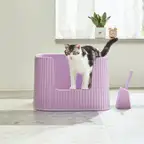 Product preview image
