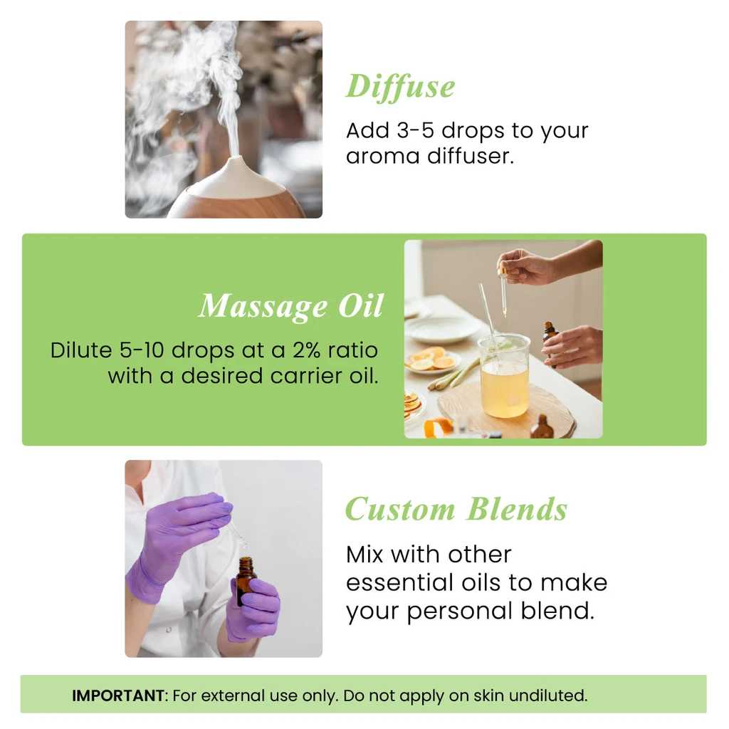 Handcraft Blends Handcraft Organic Peppermint Essential Oil - 100% Pure & Natural