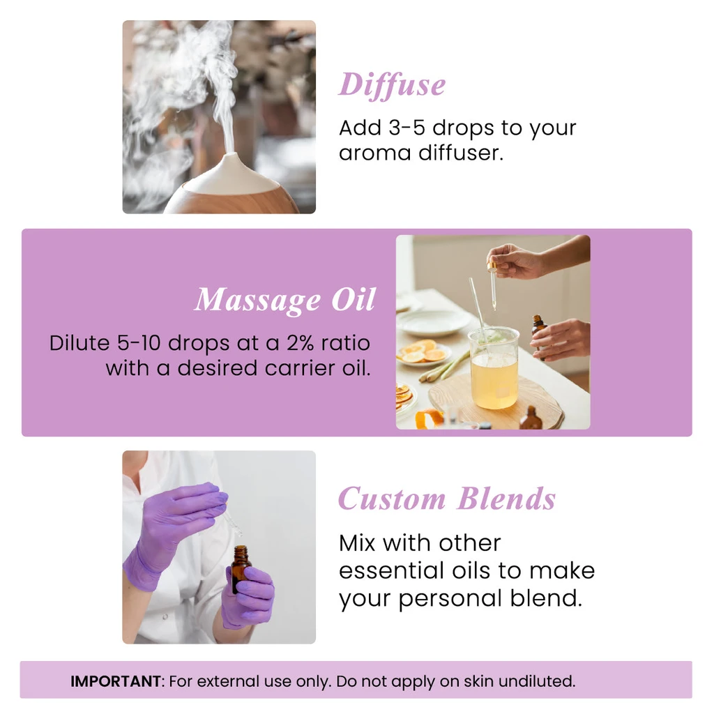 Handcraft Blends Handcraft Organic Lavender Essential Oil - 100% Pure and Natural