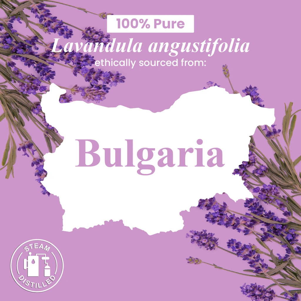 Handcraft Blends Handcraft Organic Lavender Essential Oil - 100% Pure and Natural
