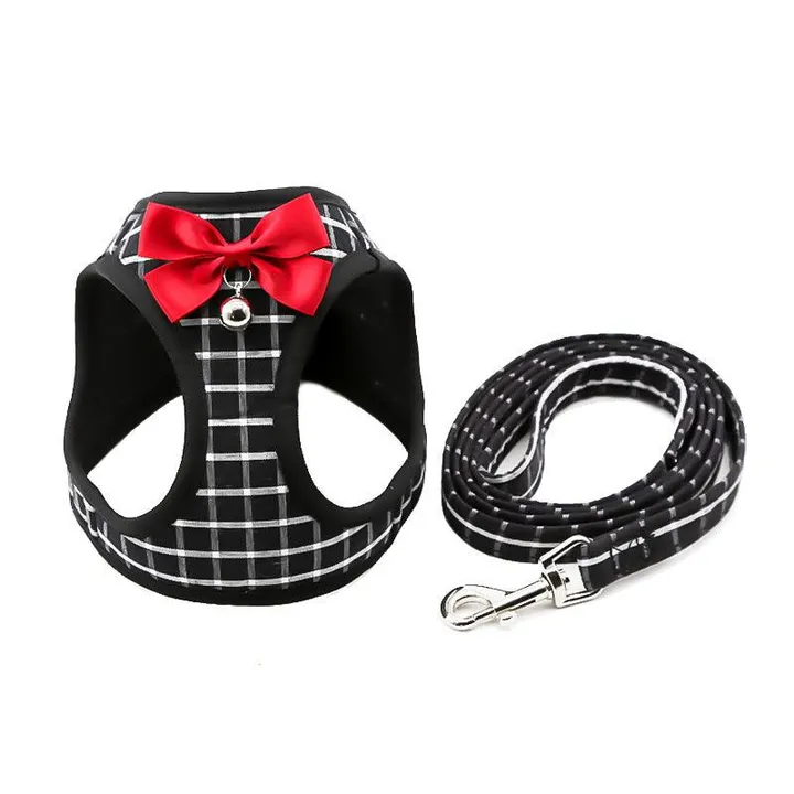 Dog Hugs Cat Grid Pattern Cat Chain Traction Rope Set With Chest Harness And Collar
