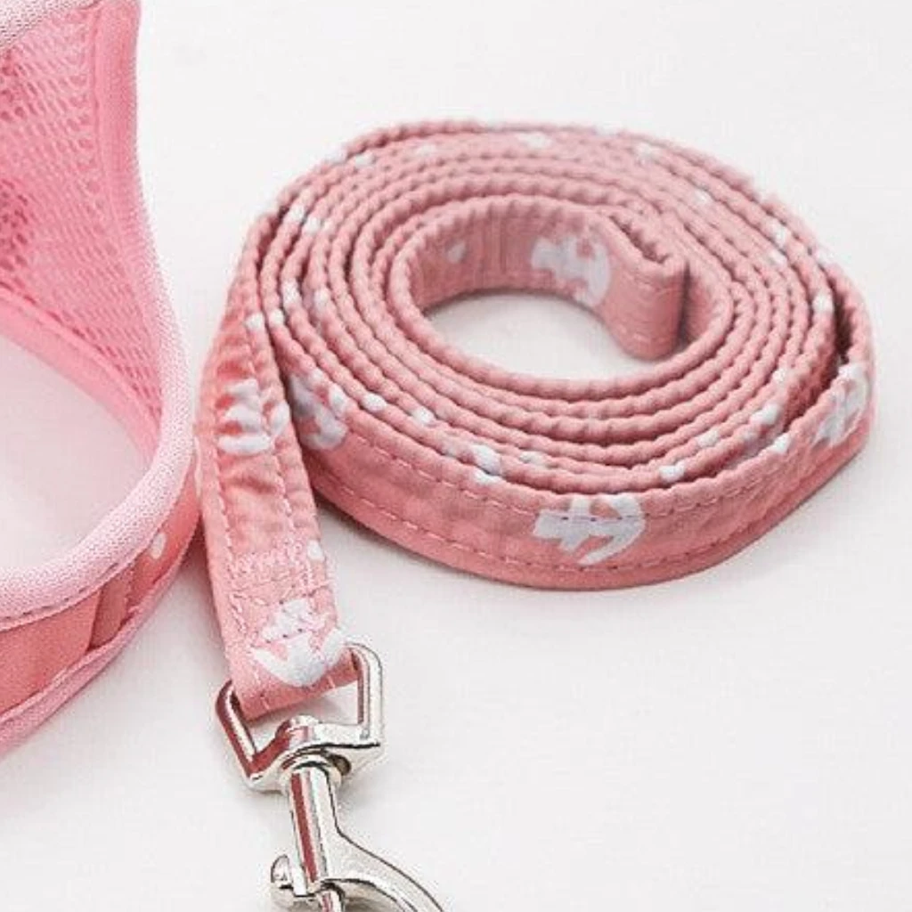 Dog Hugs Cat Grid Pattern Cat Chain Traction Rope Set With Chest Harness And Collar