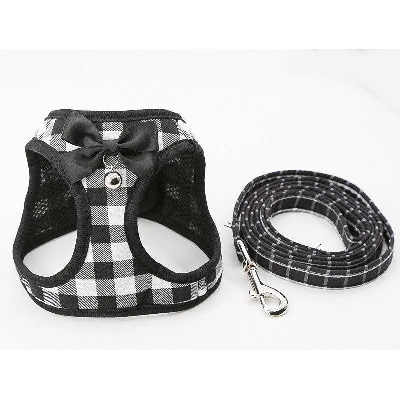 Dog Hugs Cat Grid Pattern Cat Chain Traction Rope Set With Chest Harness And Collar
